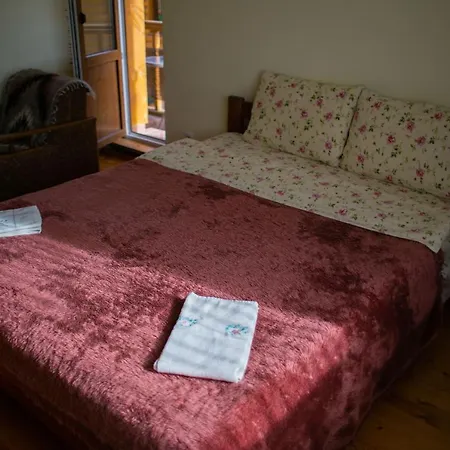 Country house Skolivska Skelya Skole